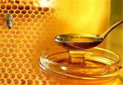 علاج انزيمات الكبد بالعسل